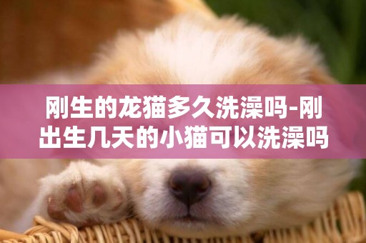 刚生的龙猫多久洗澡吗-刚出生几天的小猫可以洗澡吗