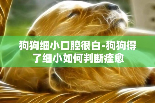 狗狗细小口腔很白-狗狗得了细小如何判断痊愈