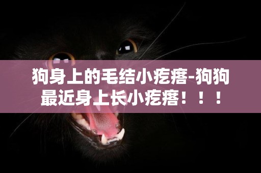 狗身上的毛结小疙瘩-狗狗最近身上长小疙瘩！！！