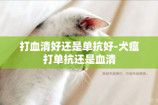 打血清好还是单抗好-犬瘟打单抗还是血清