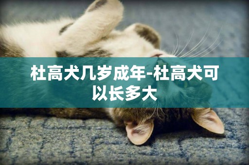 杜高犬几岁成年-杜高犬可以长多大