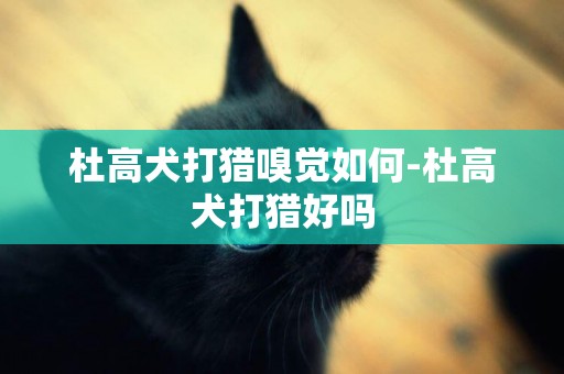 杜高犬打猎嗅觉如何-杜高犬打猎好吗