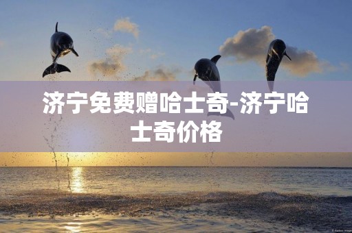 济宁免费赠哈士奇-济宁哈士奇价格