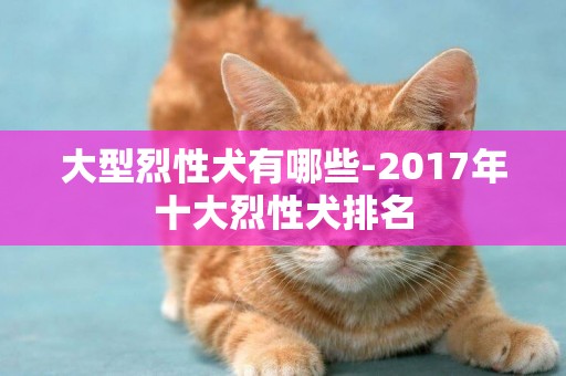 大型烈性犬有哪些-2017年十大烈性犬排名