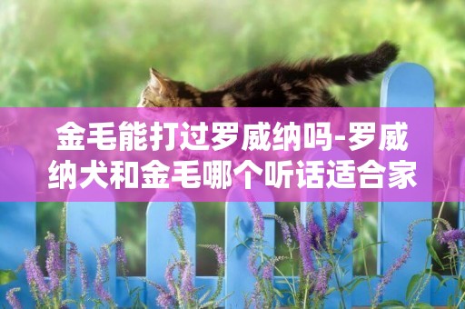 金毛能打过罗威纳吗-罗威纳犬和金毛哪个听话适合家养