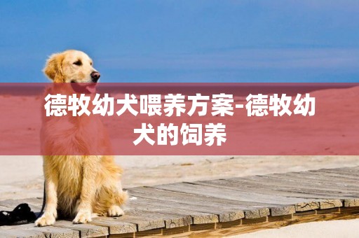 德牧幼犬喂养方案-德牧幼犬的饲养