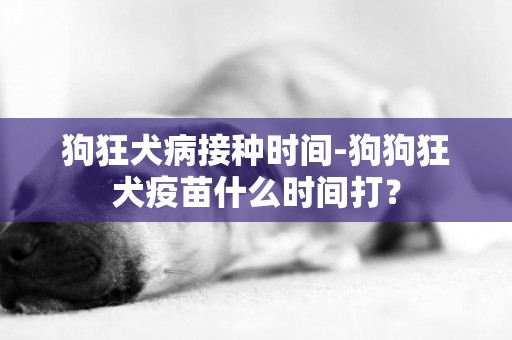 狗狂犬病接种时间-狗狗狂犬疫苗什么时间打？