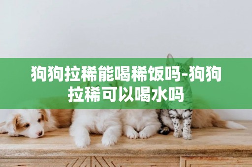 狗狗拉稀能喝稀饭吗-狗狗拉稀可以喝水吗