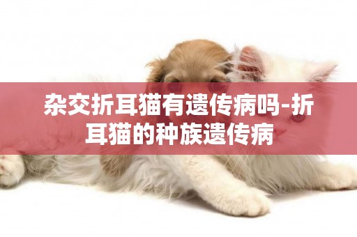 杂交折耳猫有遗传病吗-折耳猫的种族遗传病