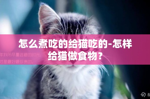 怎么煮吃的给猫吃的-怎样给猫做食物？