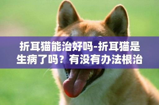 折耳猫能治好吗-折耳猫是生病了吗？有没有办法根治？