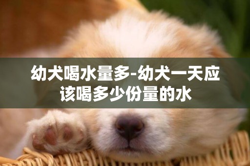 幼犬喝水量多-幼犬一天应该喝多少份量的水