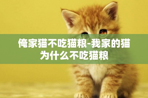 俺家猫不吃猫粮-我家的猫为什么不吃猫粮