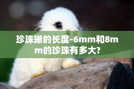 珍珠蜥的长度-6mm和8mm的珍珠有多大?