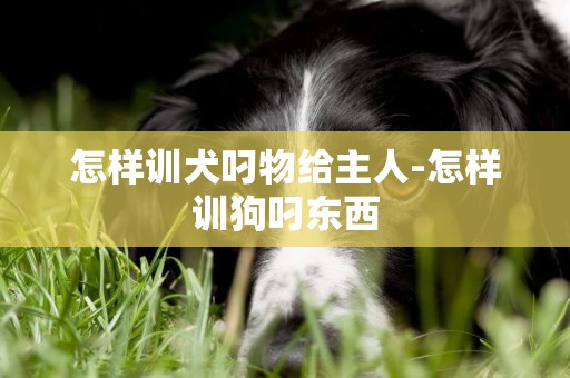 怎样训犬叼物给主人-怎样训狗叼东西