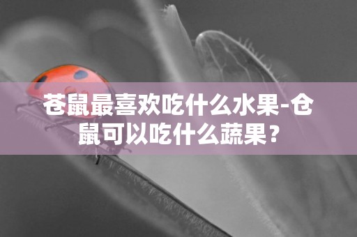 苍鼠最喜欢吃什么水果-仓鼠可以吃什么蔬果？