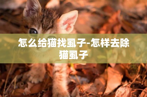 怎么给猫找虱子-怎样去除猫虱子