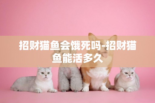 招财猫鱼会饿死吗-招财猫鱼能活多久