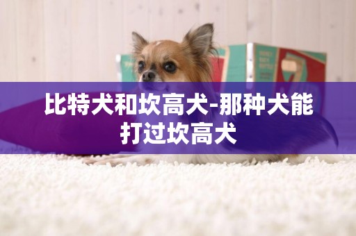 比特犬和坎高犬-那种犬能打过坎高犬