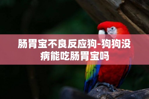 肠胃宝不良反应狗-狗狗没病能吃肠胃宝吗