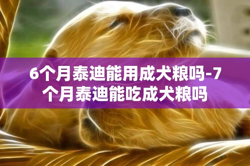 6个月泰迪能用成犬粮吗-7个月泰迪能吃成犬粮吗