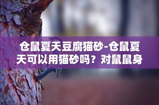 仓鼠夏天豆腐猫砂-仓鼠夏天可以用猫砂吗？对鼠鼠身体有害吗？银座里卖的小包猫砂大约多少钱？