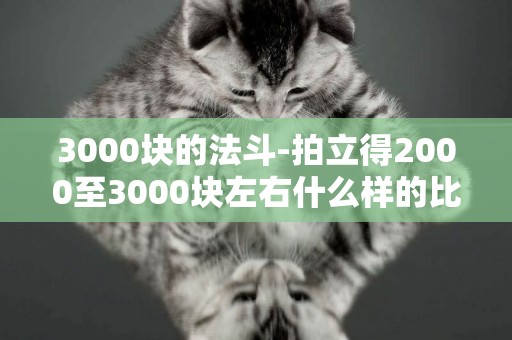 3000块的法斗-拍立得2000至3000块左右什么样的比较好