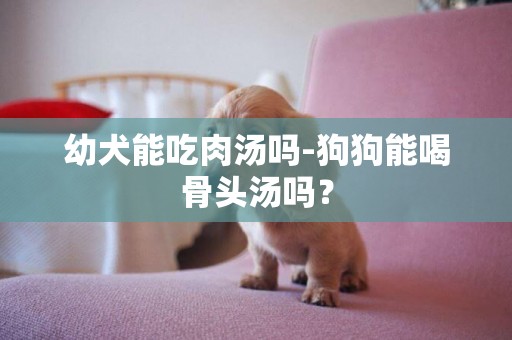 幼犬能吃肉汤吗-狗狗能喝骨头汤吗？