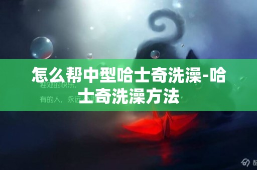 怎么帮中型哈士奇洗澡-哈士奇洗澡方法