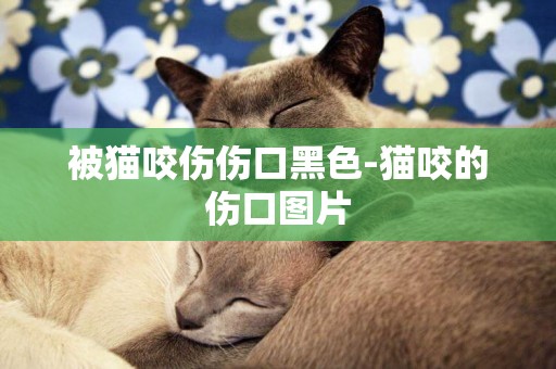 被猫咬伤伤口黑色-猫咬的伤口图片