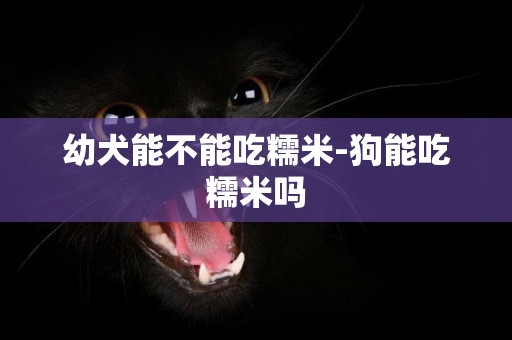 幼犬能不能吃糯米-狗能吃糯米吗