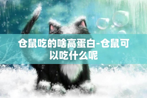 仓鼠吃的啥高蛋白-仓鼠可以吃什么呢