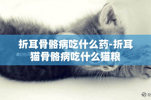 折耳骨骼病吃什么药-折耳猫骨骼病吃什么猫粮