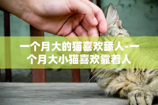 一个月大的猫喜欢舔人-一个月大小猫喜欢靠着人