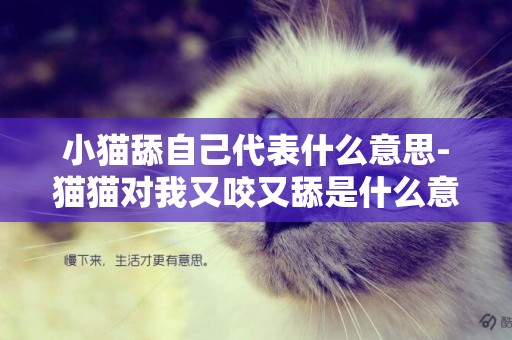 小猫舔自己代表什么意思-猫猫对我又咬又舔是什么意思？