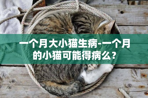 一个月大小猫生病-一个月的小猫可能得病么？