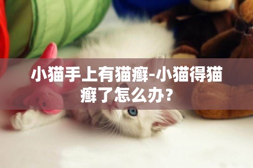 小猫手上有猫癣-小猫得猫癣了怎么办？