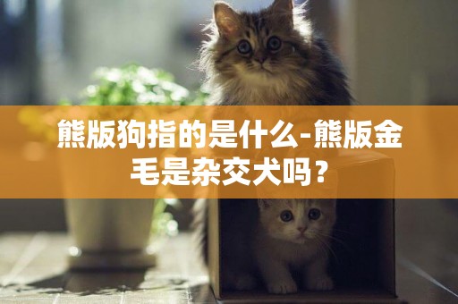 熊版狗指的是什么-熊版金毛是杂交犬吗？