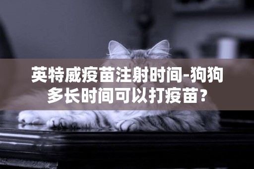 英特威疫苗注射时间-狗狗多长时间可以打疫苗？