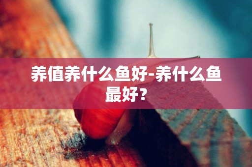 养值养什么鱼好-养什么鱼最好？