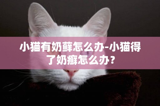 小猫有奶藓怎么办-小猫得了奶癣怎么办？