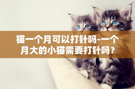 猫一个月可以打针吗-一个月大的小猫需要打针吗？