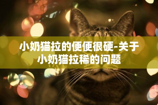 小奶猫拉的便便很硬-关于小奶猫拉稀的问题