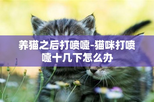 养猫之后打喷嚏-猫咪打喷嚏十几下怎么办