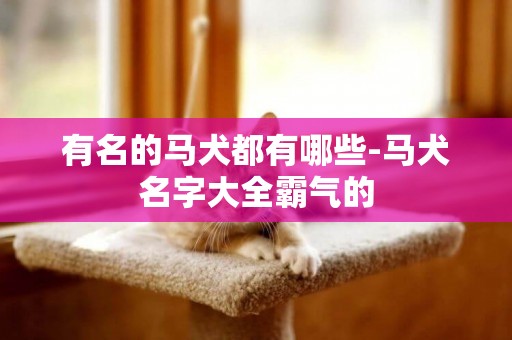 有名的马犬都有哪些-马犬名字大全霸气的