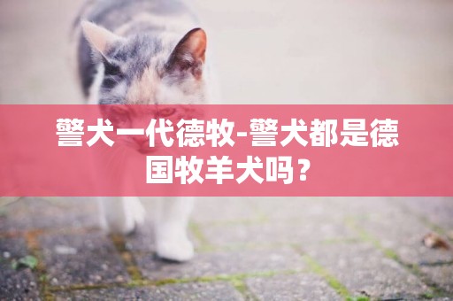 警犬一代德牧-警犬都是德国牧羊犬吗？