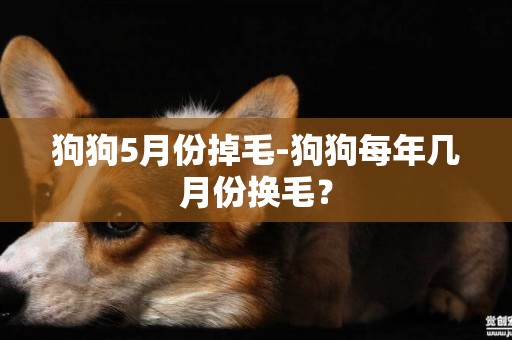 狗狗5月份掉毛-狗狗每年几月份换毛？