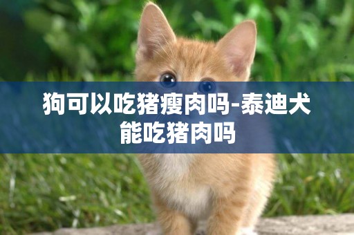 狗可以吃猪瘦肉吗-泰迪犬能吃猪肉吗