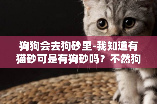 狗狗会去狗砂里-我知道有猫砂可是有狗砂吗？不然狗狗怎么上厕所啊？