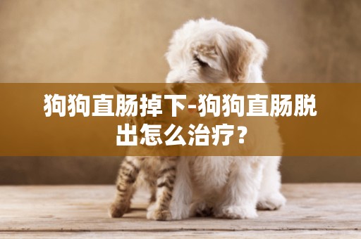 狗狗直肠掉下-狗狗直肠脱出怎么治疗？